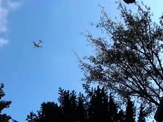 blonde,blowjob,hardcore,milf,outdoor,pov,