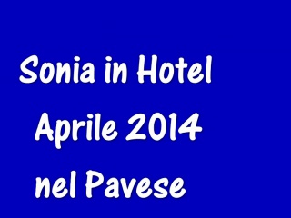 In eradicate affect matter of eradicate affect motor hotel - Pavia 2014